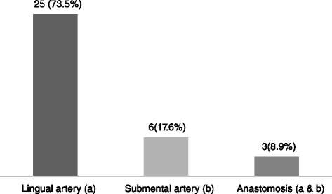 Figure 1. Distribution of cadavers according to source of artery entering the MMLF (n = 34)