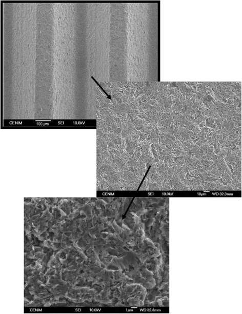 Figure 3. SEM image of the surface of control commercial Ti6Al4V dental implants