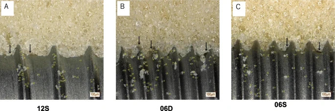 Figure 5. Microscopic analysis of contact interfaces. Microscopic observations of the artificial bone-implant and number of debris particles. The small arrows in the panel indicate voids in the implant-bone interface