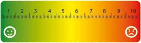Figure 8. Visual analog scale—evaluator version