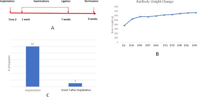 Fig. 1. a) Time course of the experiment. b) Curve of the rat body weight change. c) Implant survival after 7 weeks of implantation. Implant success and failure rate is analyzed by using Clopper-Pearson’s exact method at 95% confidence interval. Our experiment data indicate that the true success rate of implantation in maxillary natural diastema in rat is less than 38.4% at a confident level of 95%