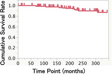 Fig. 1. Kaplan-Meier cumulative survival rate at 10, 15, and 25 years after the prosthesis setting