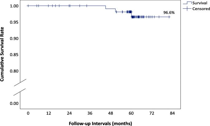 Fig. 2. Kaplan-Meier cumulative survival rate