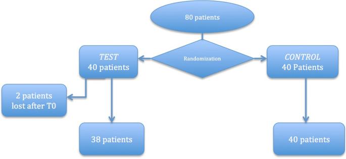 Fig. 2. Patients’ population flow chart