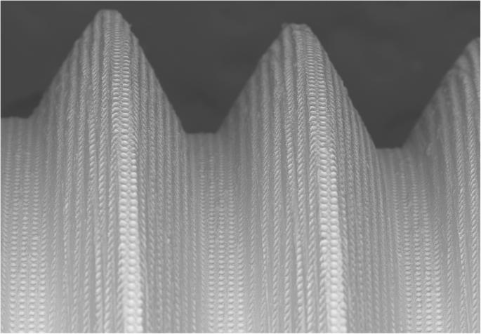 Fig. 2. Scanning electron microscopy picture of group B implant surface