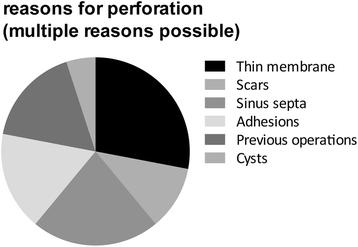 Fig. 3. Reasons for perforations