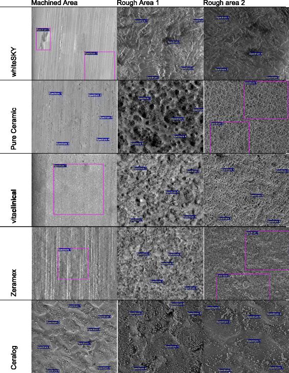 Fig. 3. SEM for localization of EDX analysis