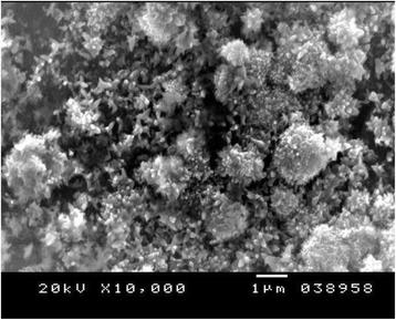 Fig. 5. Scanning electron microphotograph of Cp Titanium specimen coated with HA-Zn at X10,000