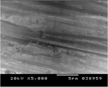 Fig. 7. Scanning electron microphotograph of control Cp Titanium specimen at X 5,000
