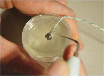 Figure 1. Implant embedded in epoxy resin with thermocouple at the outer surface.