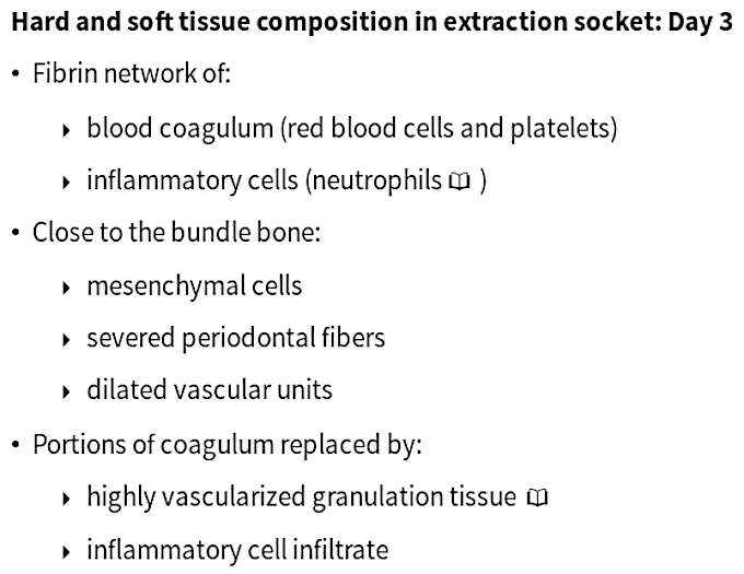 summary of biological events on third day after extraction